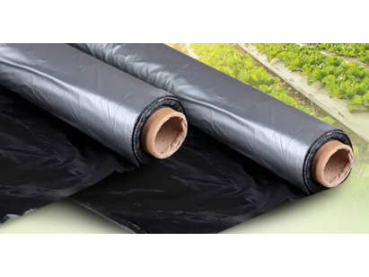 mulching_sheet_tandhan