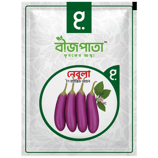 নেবুলা এফ১-হাইব্রিড বেগুন বীজ|বীজপাতা|Nebula- Eggplant Seed|Bizpata