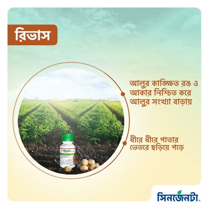 রিভাস
