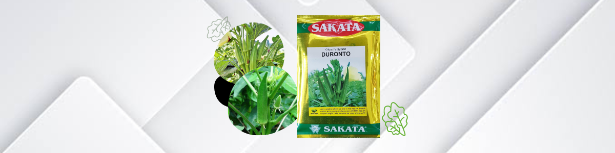 okra seed - sakata - manik seed - halal agro - shop cover photo