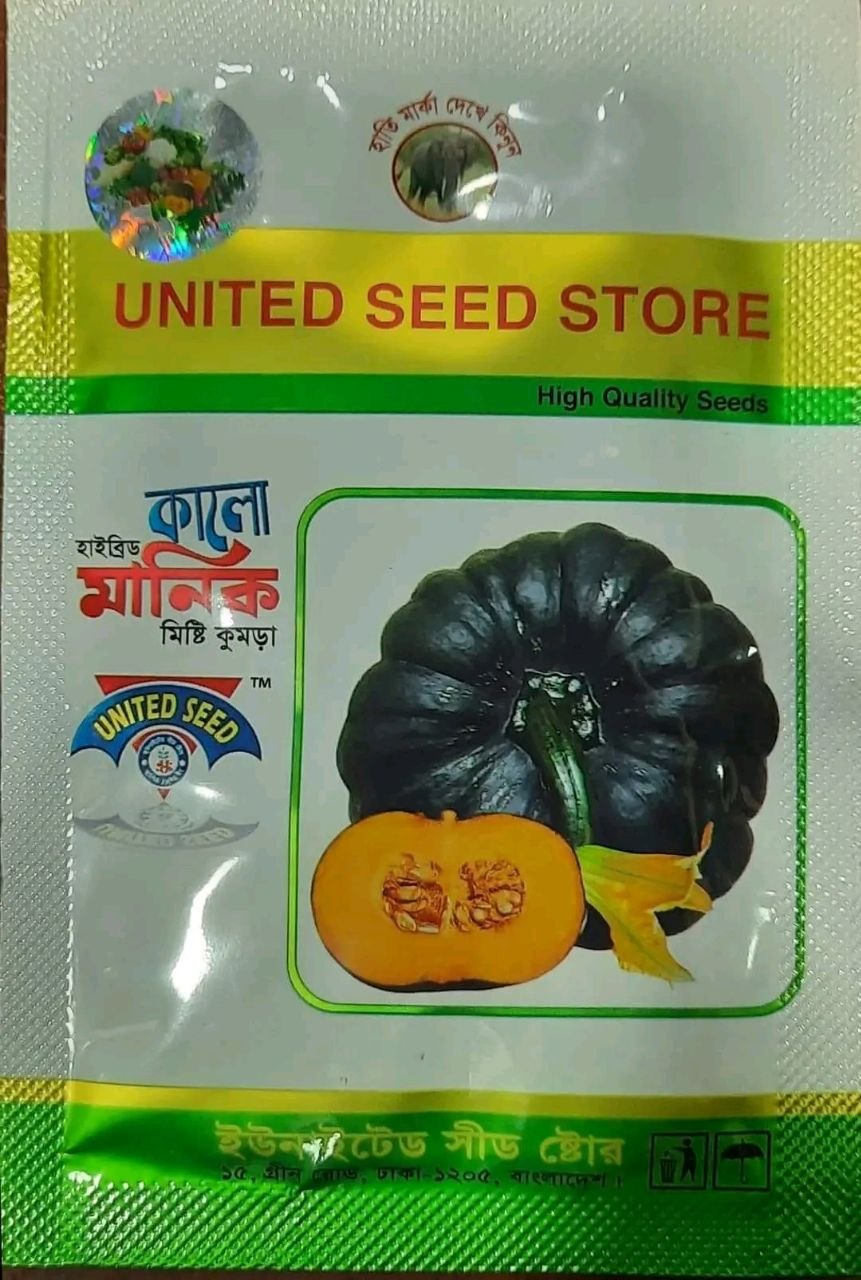 হাইব্রিড মিষ্টিকুমড়া-কালো মানিক । ইউনাইটেড সীডস। Hybrid sweet gourd-kalo manik