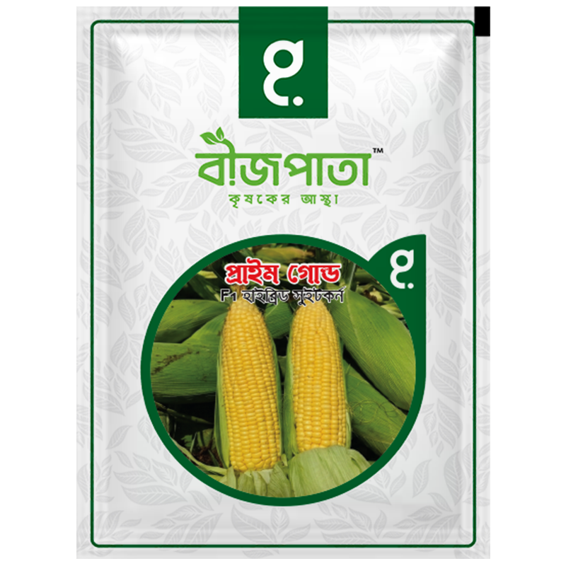 প্রাইম গোল্ড এফ১ (Prime Gold)-হাইব্রিড সুইট কর্ন বীজ|বীজপাতা