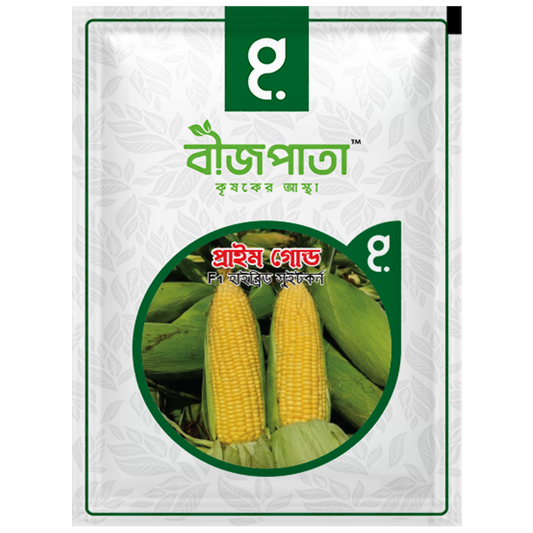 প্রাইম গোল্ড এফ১ (Prime Gold)-হাইব্রিড সুইট কর্ন বীজ|বীজপাতা