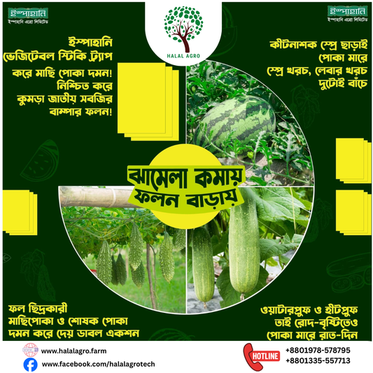 স্টিকি ট্রাপ- সবজী|ইস্পাহানি এগ্রো|Yellow Sticky Trap-Vagetable|Ispahani Agro