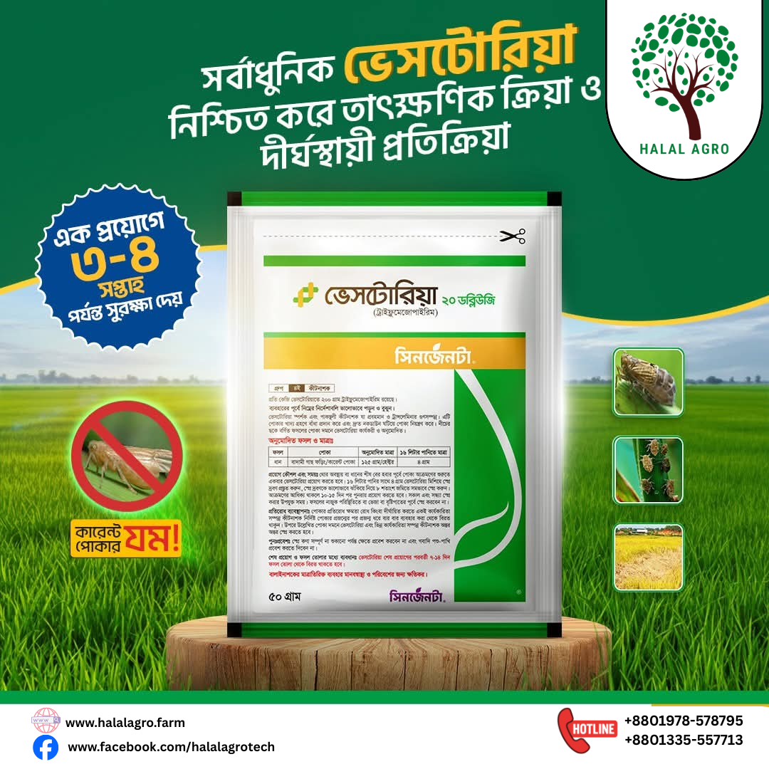 ভেসটোরিয়া ২০ ডব্লিউজি (ট্রাইফ্লুমেজোপাইরিম ২০%) কীটনাশক | সিনজেনটা | Vestoria 20 WG (Triflumezopyrim 20%) Insecticide|Syngenta