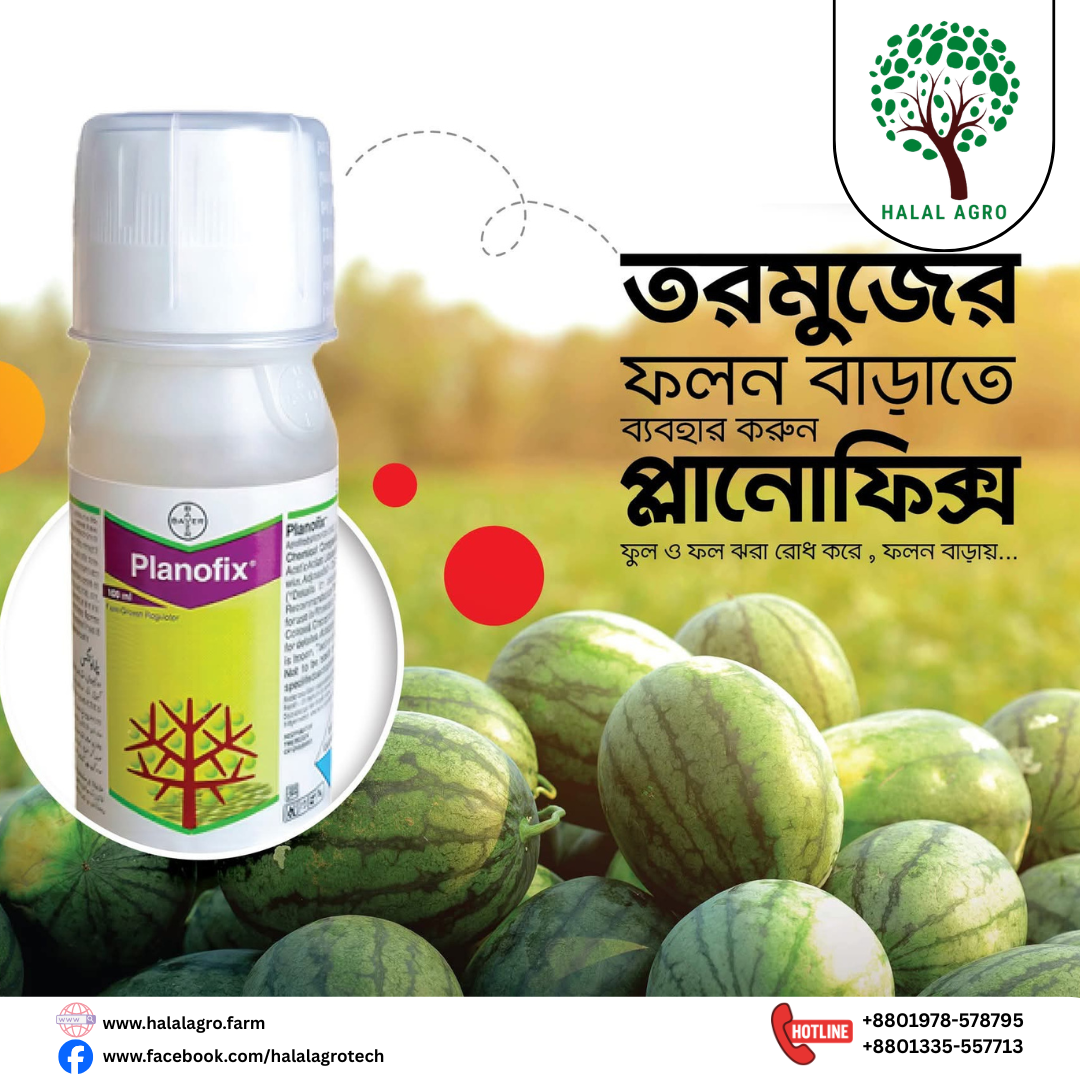 প্ল্যানোফিক্স (আলফা ন্যাফথালিন অ্যাসিটিক এসিড) পিজি আর। বায়ার। Planofix(Alpha Naphthalene Acetic Acid) PGR । Bayer