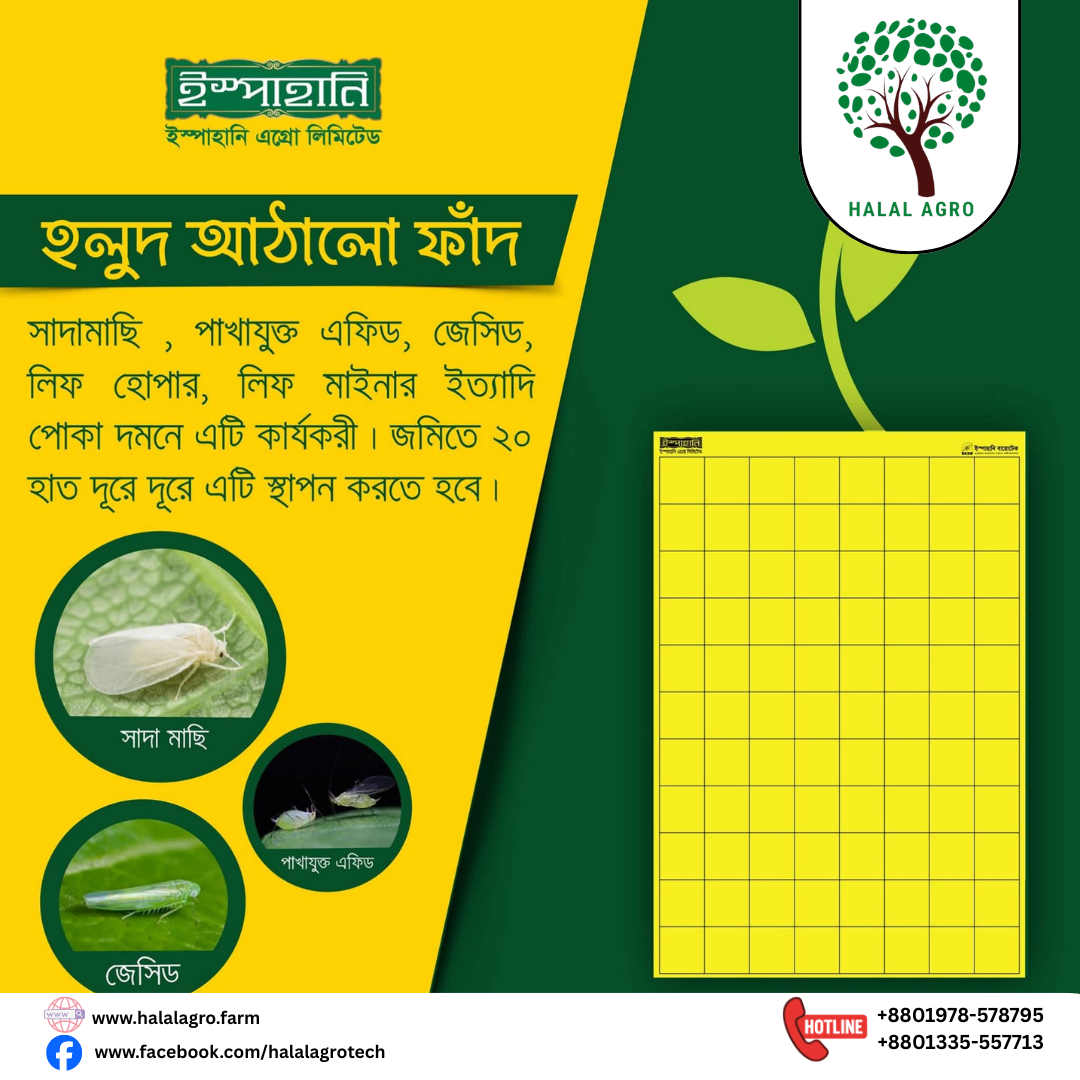 ইয়োলো স্টিকি ট্রাপ|ইস্পাহানি এগ্রো|Yellow Sticky Trap|Ispahani Agro