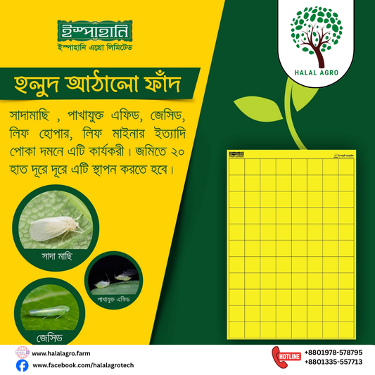 ইয়োলো স্টিকি ট্রাপ|ইস্পাহানি এগ্রো|Yellow Sticky Trap|Ispahani Agro