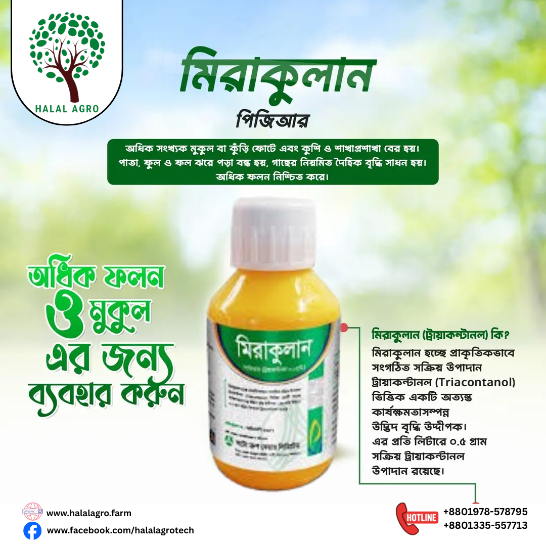 মিরাকুলান™ (ট্রায়াকন্টানল ০.০৫%)-পিজিআর|অটো ক্রপ কেয়ার|Miraculan™ (Triacontanol 0.05%)-PGR|Auto Crop Care