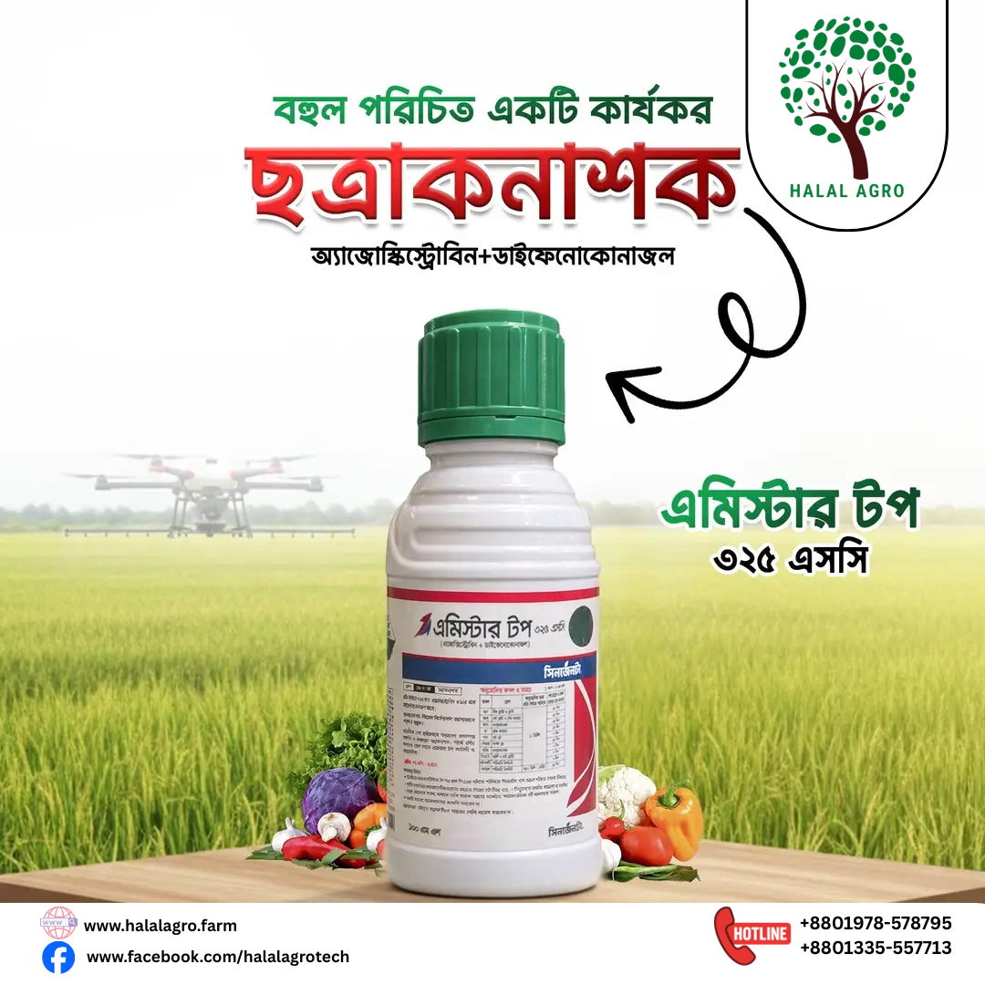 এমিস্টার টপ-৩২৫(এসসি) এজোক্সিস্ট্রোবিন ২০% (Azoxystrobin 200g/L) এবং ডাইফেনোকোনাজল ১২.৫% (Difenoconazole 125g/L) । ছত্রাকনাশক।সিনজেনটা ।Amistar Top-325(SC)। Fungicide । Syngenta