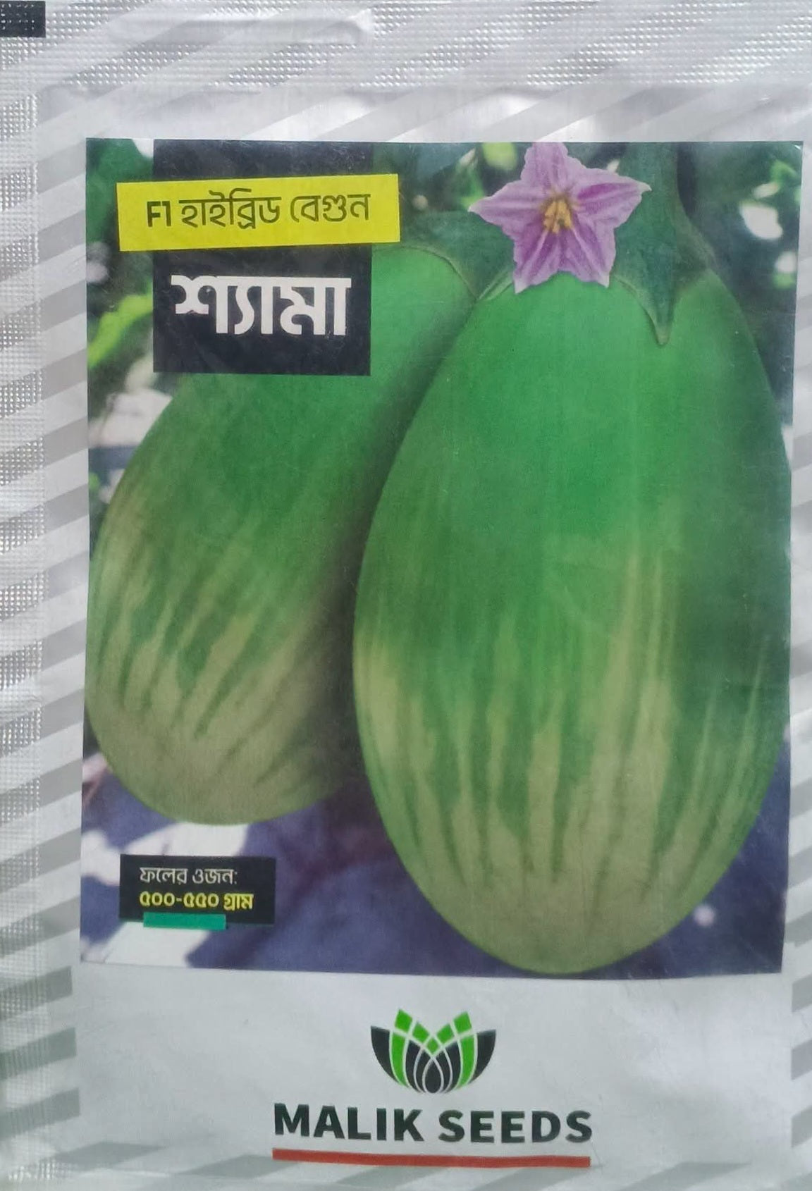 হাইব্রিড বেগুন- শ্যামা ( shyama)। মালিক সীডস।