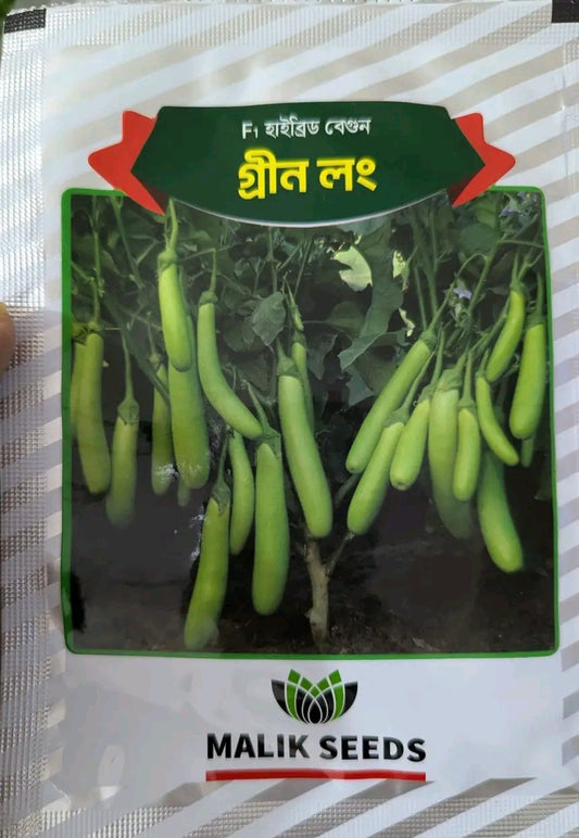 হাইব্রিড বেগুন- গ্রীন লঙ ।এ আর মালিক সীডস।Hybrid Brinjal Green Long।AR Malik Seeds