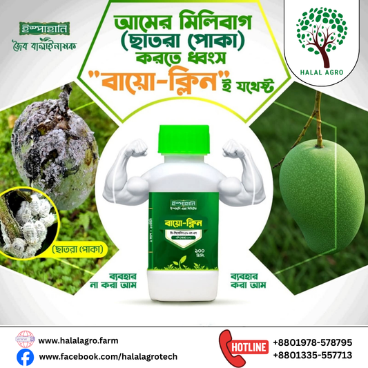 ইস্পাহানি বায়ো-ক্লিন (Bio-Clean)- জৈব বালাইনাশক-ছাতরা পোকা (মিলিবাগ) এবং সাদা মাছি দমনে কার্যকরী।