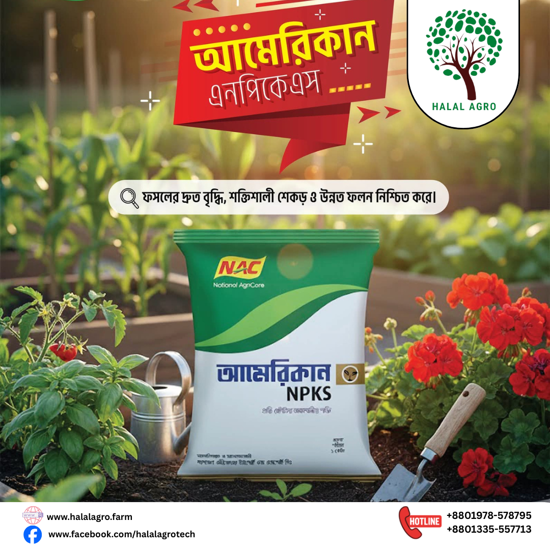 আমেরিকান NPKS| নাইট্রোজেন ফসফরাস পটাসিয়াম সালফার সমৃদ্ধ সার।ন্যাশনাল এগ্রি কেয়ার। American - NPKS