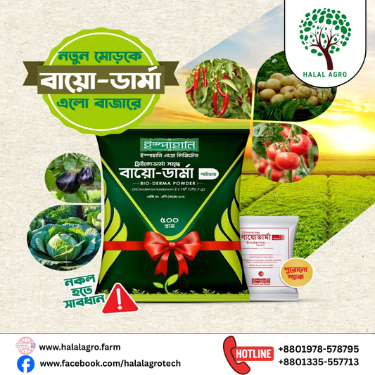 বায়ো-ডার্মা সলিড-ছত্রাকনাশক|ইস্পাহানি এগ্রো|Bio-Derma Solid-Fungicide|Ispahani Agro