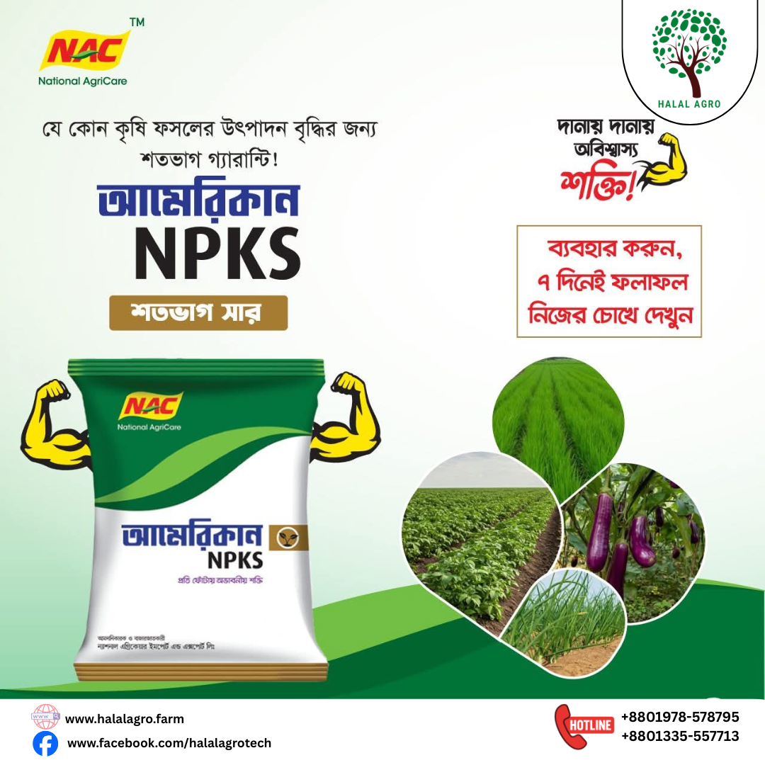 আমেরিকান NPKS| নাইট্রোজেন ফসফরাস পটাসিয়াম সালফার সমৃদ্ধ সার।ন্যাশনাল এগ্রি কেয়ার। American - NPKS