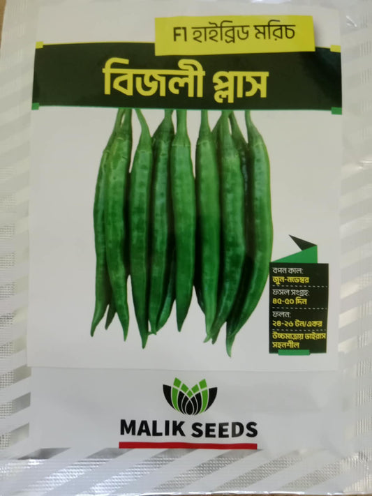 হাইব্রিড মরিচ-বিজলী প্লাস।এ আর মালিক সীডস।Hybrid Chili-Bijlee Plus।AR Malik Seeds