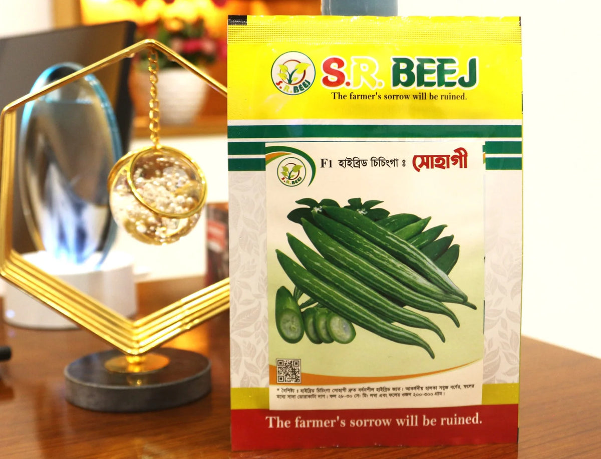 সোহাগী (Sohagi)।হাইব্রিড চিচিংগা।এস আর বীজ