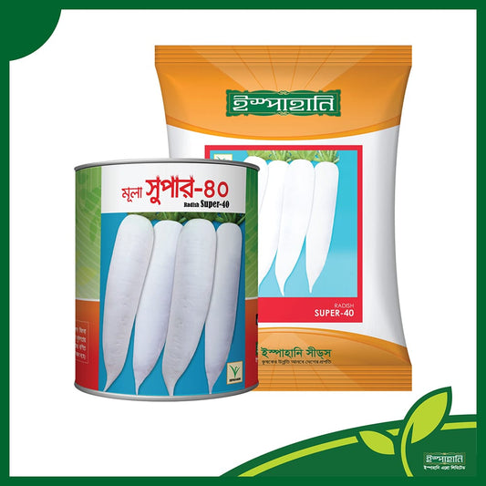 সুপার ৪০ হাইব্রিড  মুলা।  ইস্পাহানি এগ্রো।(super 40) । ispahani agro ।আগাম উচ্চ ফলনশীল জাত, ফল আকর্ষণীয় সাদা রংয়ের ।  ২৫-৩০ দিন পর শাক এবং ৪০-৪৫ দিন পর ফসল সংগ্রহ করা যায়