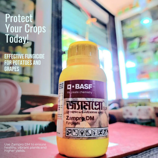 জ্যামপ্রো ডিএম।ছত্রাকনাশক। সেমকো।Zampro DM।Fungicide