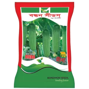 হাইব্রিড শসা-দীবা- হালাল এগ্রো ফার্ম -Hybrid Cucumber-Deeba- Halal Agro Farm