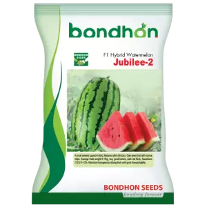 হাইব্রিড তরমুজ- জুবিলি-২- হালাল এগ্রো ফার্ম -Hybrid-Watermelon-Jubilee-2- Halal Agro Farm