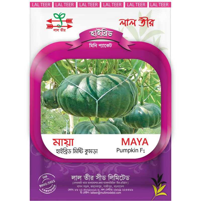 ময়না হাইব্রিড মিস্টি কুমড়া - হালাল এগ্রো ফার্ম - moyna hybrid Seed - Halal Agro Farm