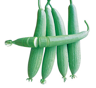 Sen mening fohisha suratimsan Ikki bakalavr partiyasi jinsiy aloqa video