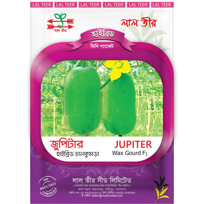 জুপিটার হাইব্রিড চালকুমড়া - হালাল এগ্রো ফার্ম - Jupiter Wax Gourd Seed - Halal Agro Farm