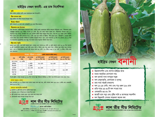 হাইব্রিড বেগুন বীজ-বনানী|লালতীর|Hybrid Egg Plant Seed-Banani|Lal Teer