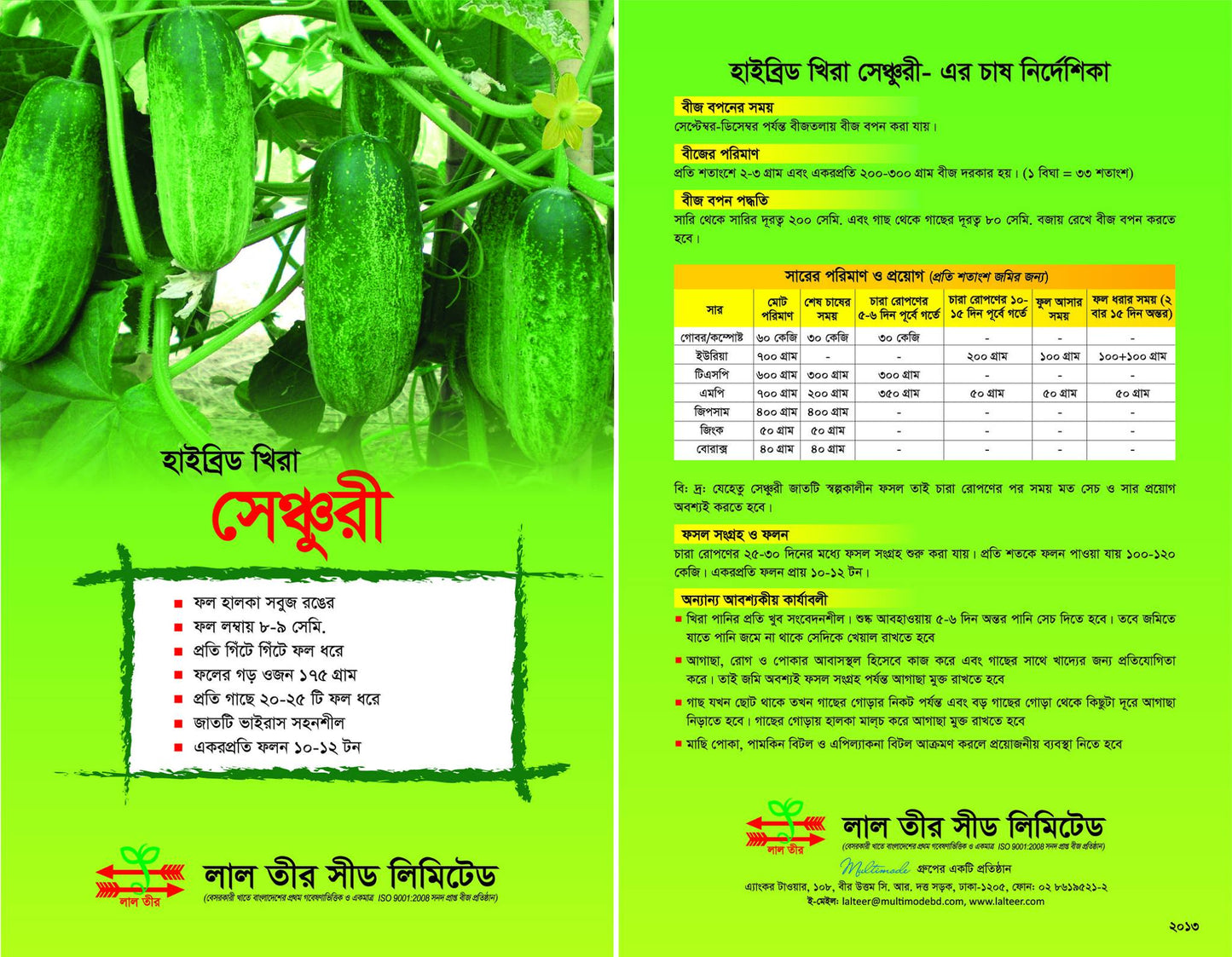 হাইব্রিড খিরা- সেঞ্চুরী।লাল তীর। Hybrid khira-century । Lal teer