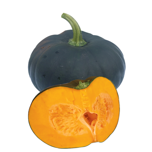 হাইব্রিড মিষ্টি কুমড়া-ব্ল্যাক স্টোন। এ আর মালিক সীডস ।Hybrid Pumpkin-Black Stone।AR Malik Seeds